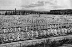Nekonečné řady hrobů z Velké války