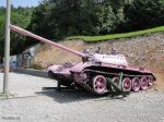 Slovinský růžový tank